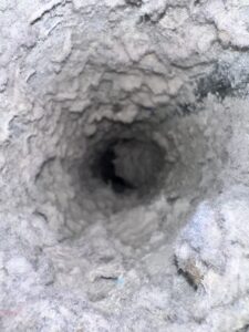 img 1669