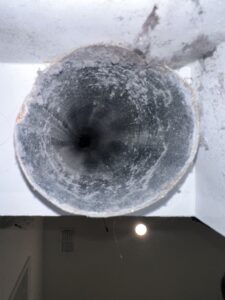 img 9459