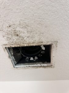 img 9711