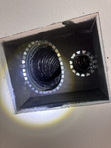 img 9719