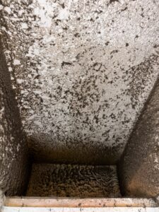 img 9961
